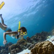 Young lady snorkeling in a tropical sea with yellow fins